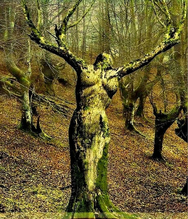 Asllan Dibrani,ibrahim egriu,Shaban Abazi, Makfire CANOLLI,kosova lindore , Lugina e presheves, zenel Hajdini, florim rushiti,adem Jashari, Brahim Salihu CURRI ,xhim xhema,Ramadan Xhema,Poezi,hijet që teatronin,armiku ,kosova ,medvegja ,presheva ,shqiperia etnike,UçK,Uçpmb,ilirida,adem jashari,skënder beu, nën tereza,Medvegja Redaksia, tupalla.com,sanxhaku i nishit,kultur ,sport,politikë, luftë,paqe,pajtim, korrupcion , gjygje,shkollë,arsim,profesion,shkencë,art,parlament,avokat,presidentja,Pacolli,femi Beha,PD medvegje, PVD Medvegjë. Kosova Lindore, Ligina e presheves,riza Halimit,Sadri Ramabaja,Rrapi i jetës sime